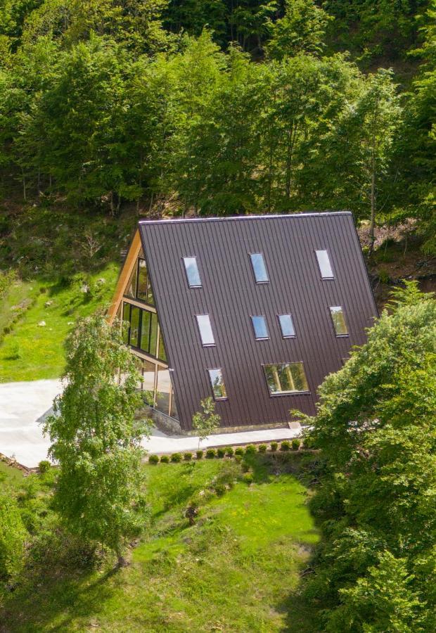 Vidis Chalet Boutique Hotel 泰斯 外观 照片