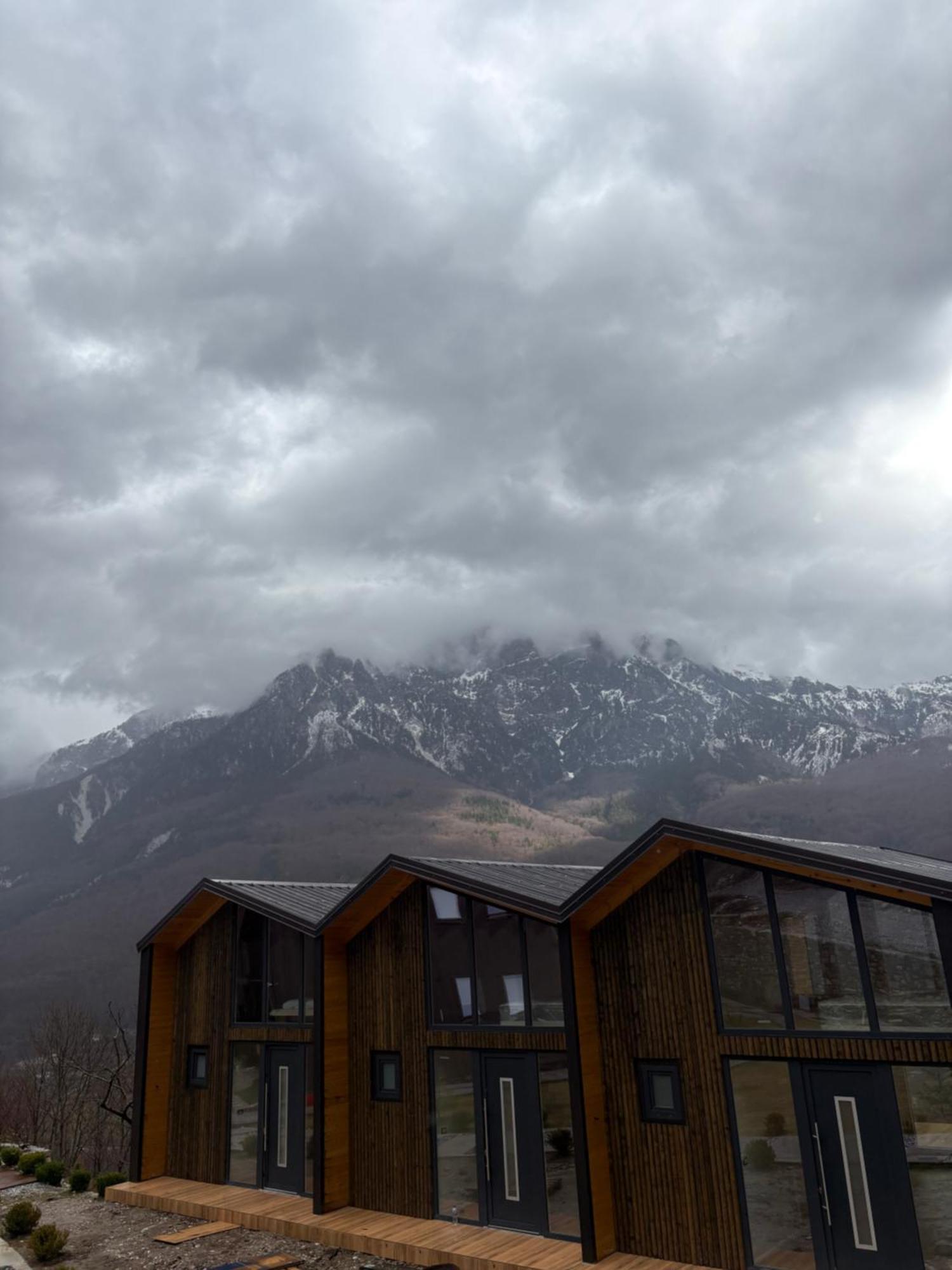 Vidis Chalet Boutique Hotel 泰斯 外观 照片